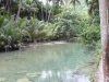 kawasan falls Cebu Philippines -0010